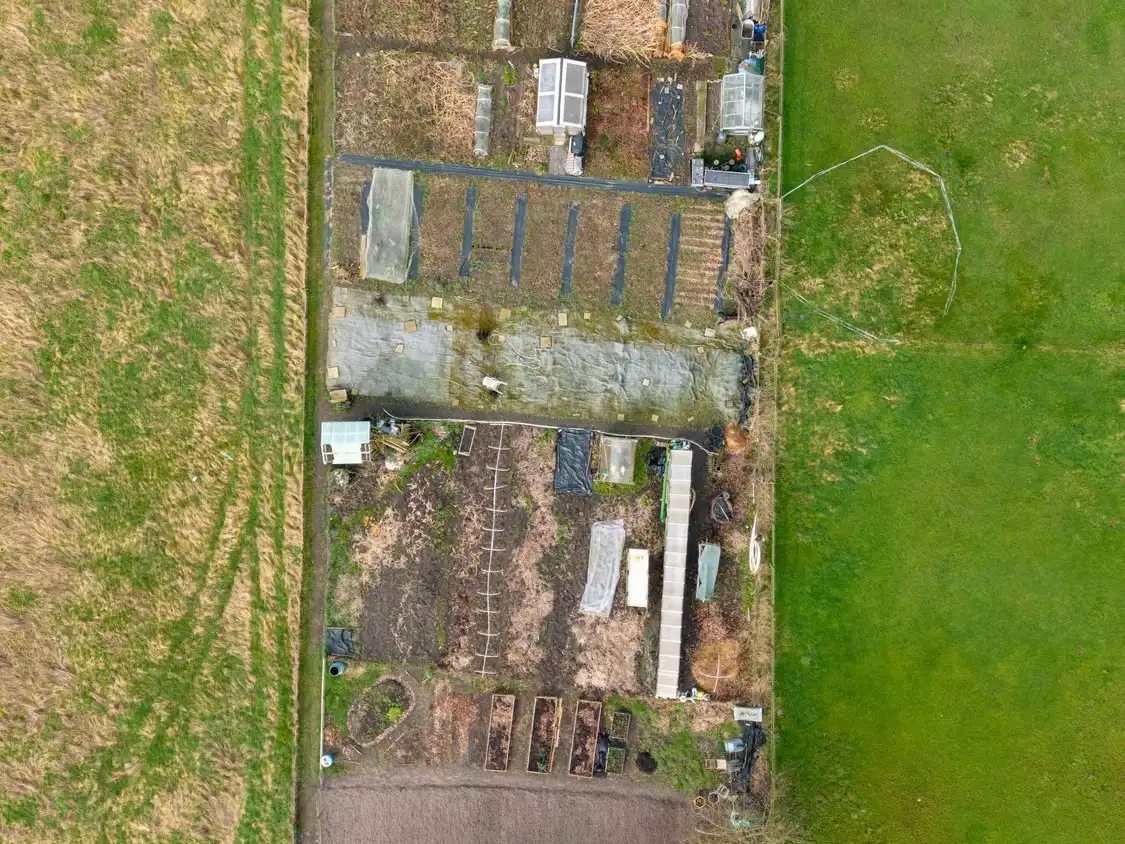 An allotment seen from above: a long strip of plots, sheds and paths between two green fields