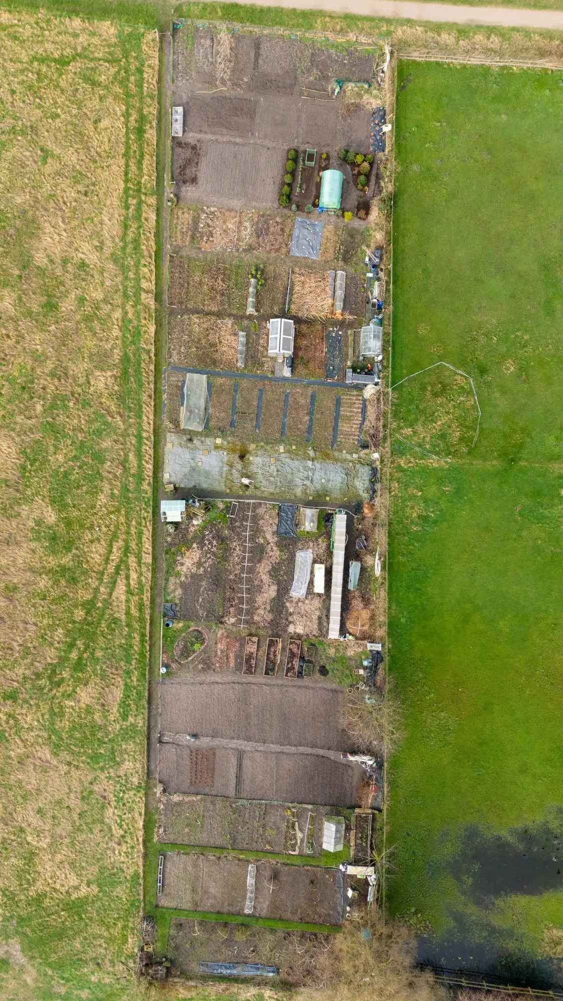 An allotment seen from above: a long strip of plots, sheds and paths between two green fields